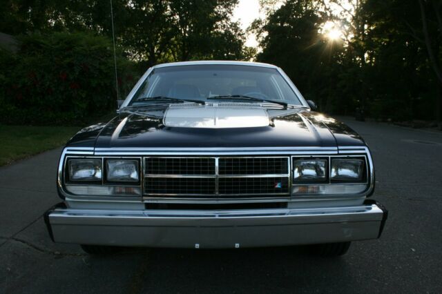 1981 AMC Other - photo 3