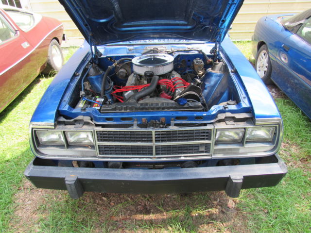 1981 AMC Other - photo 11