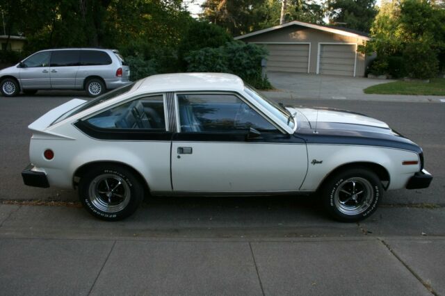 1981 AMC Other - photo 5