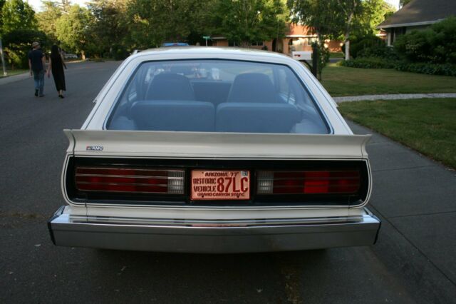 1981 AMC Other - photo 9