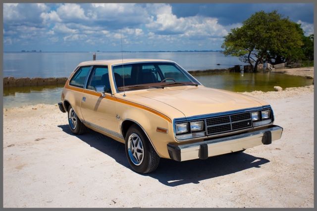 1981 AMC Other Kammback