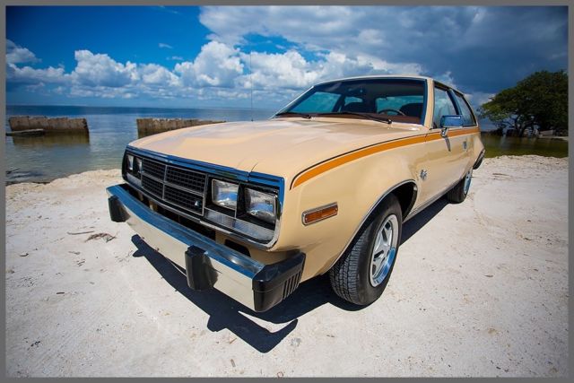 1981 AMC Other Kammback - photo 11