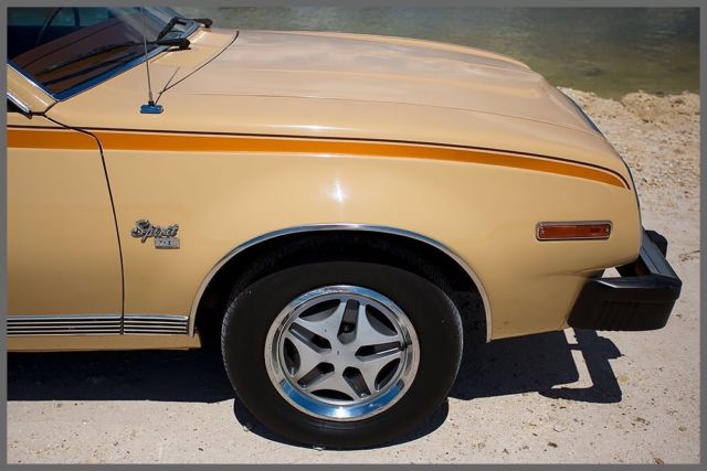 1981 AMC Other Kammback - photo 6