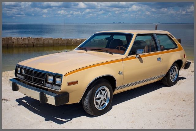 1981 AMC Other Kammback - photo 7