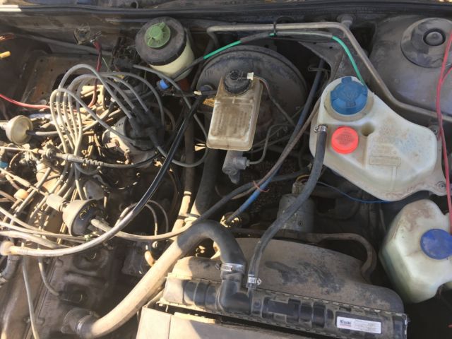 1981 Audi S5