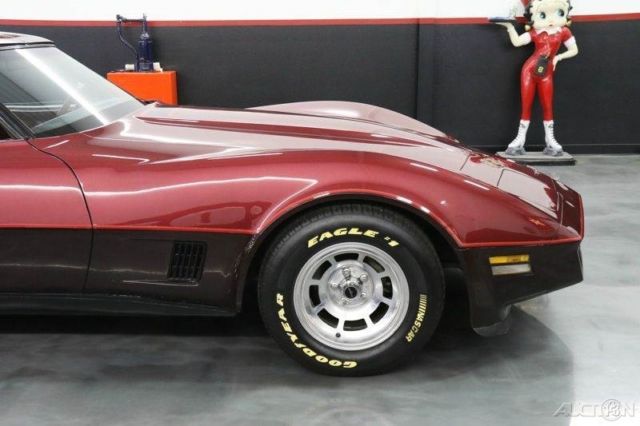 1981 Chevrolet Corvette Base 2dr Coupe - photo 11