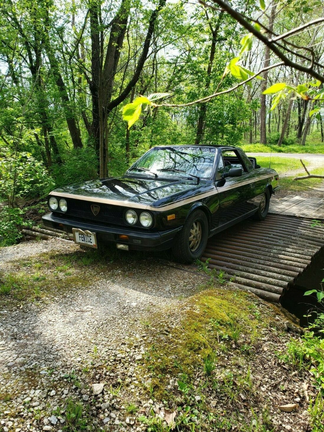 1981 Lancia Zagato Special Edition - photo 2