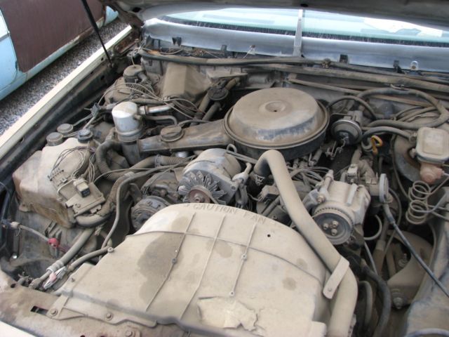 1981 Buick Century - photo 4