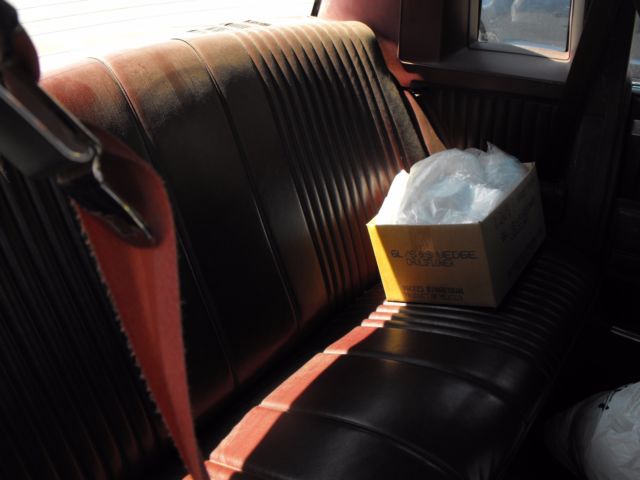 1981 Buick Regal - photo 6