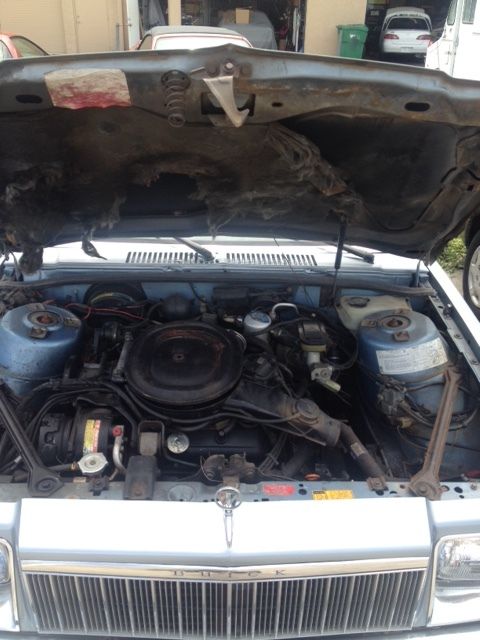 1981 Buick Skylark - photo 13