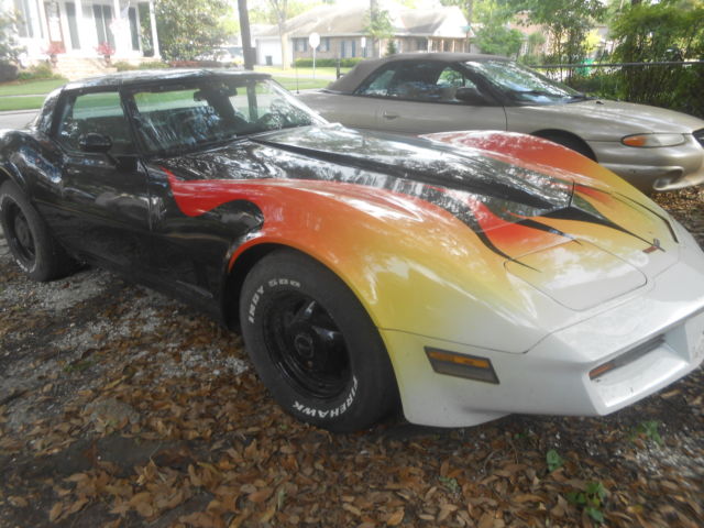 1981 Chevrolet Corvette - photo 10