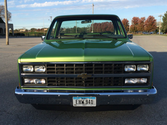1981 Chevrolet C-10 - photo 7