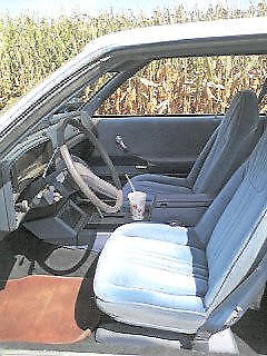 1981 Chevrolet Malibu (SS) Bucket Seats - photo 11