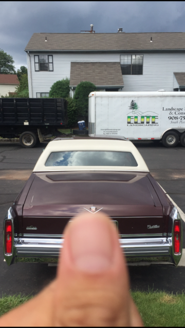 1981 Cadillac DeVille - photo 6