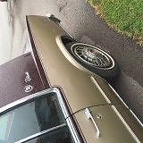 1981 Cadillac Eldorado - photo 10