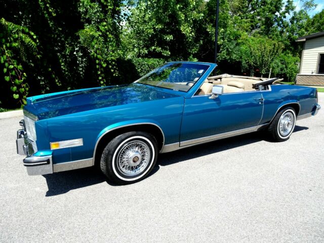 1981 Cadillac Eldorado Custom Cabriolet - photo 8