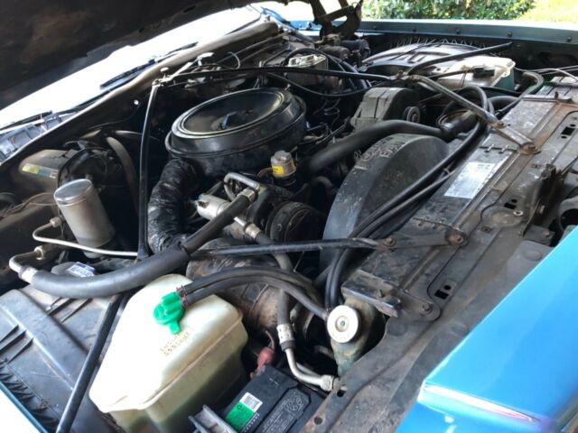 1981 Cadillac Fleetwood 2Dr - photo 10