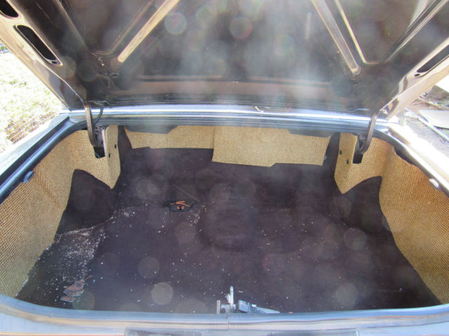 1981 Cadillac Fleetwood - photo 4