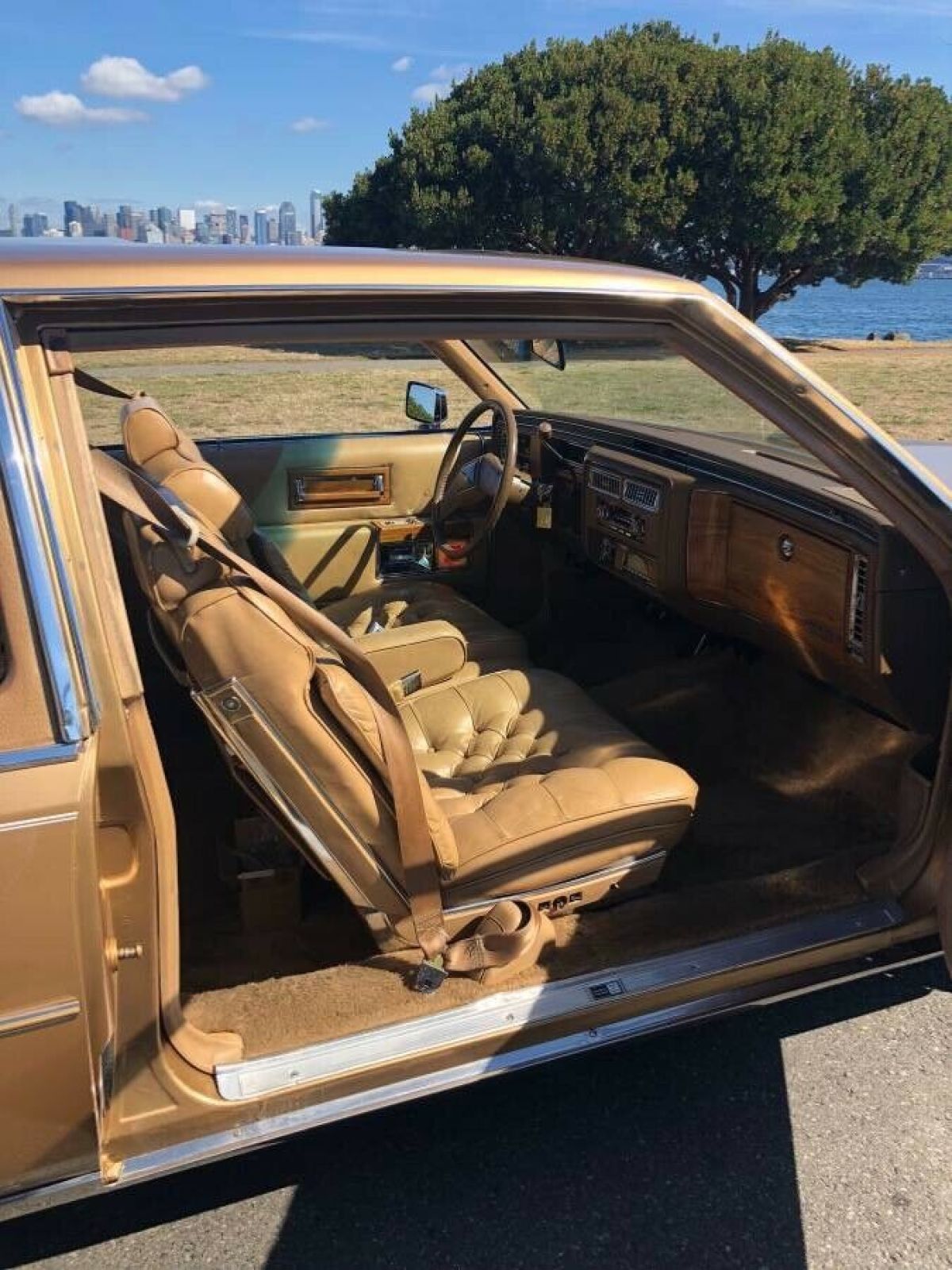 1981 Cadillac Brougham - photo 10