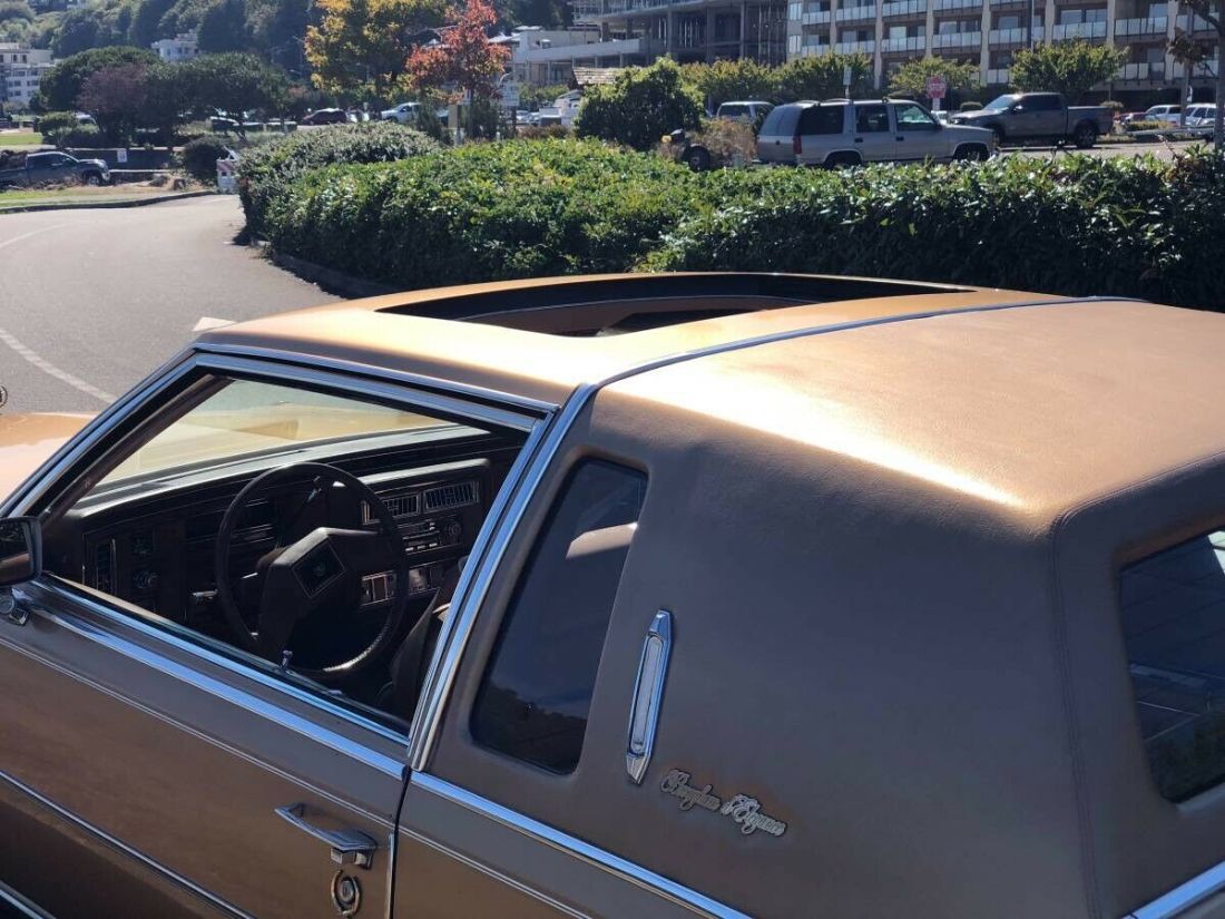 1981 Cadillac Brougham - photo 8