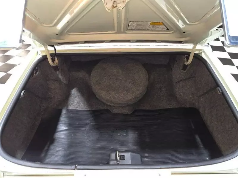 1981 Cadillac Fleetwood Fleetwood Brougham D'Elegance - photo 9