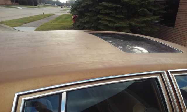 1981 Cadillac Fleetwood Brougham d'Elegance Sedan 4-Door - photo 6