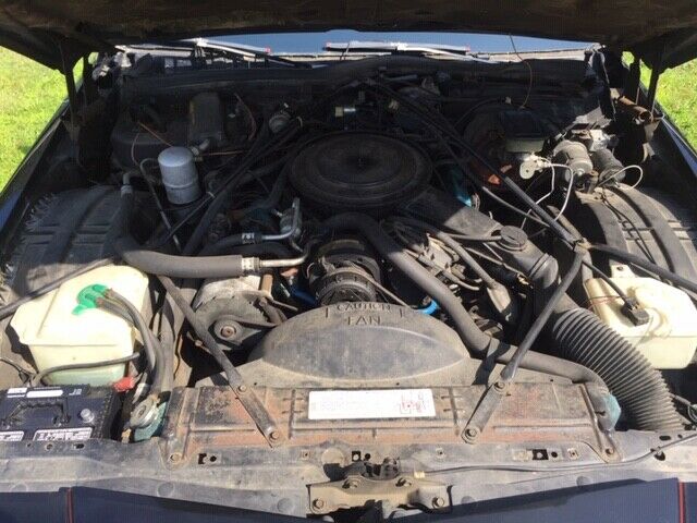 1981 Cadillac Fleetwood Limousine - photo 8