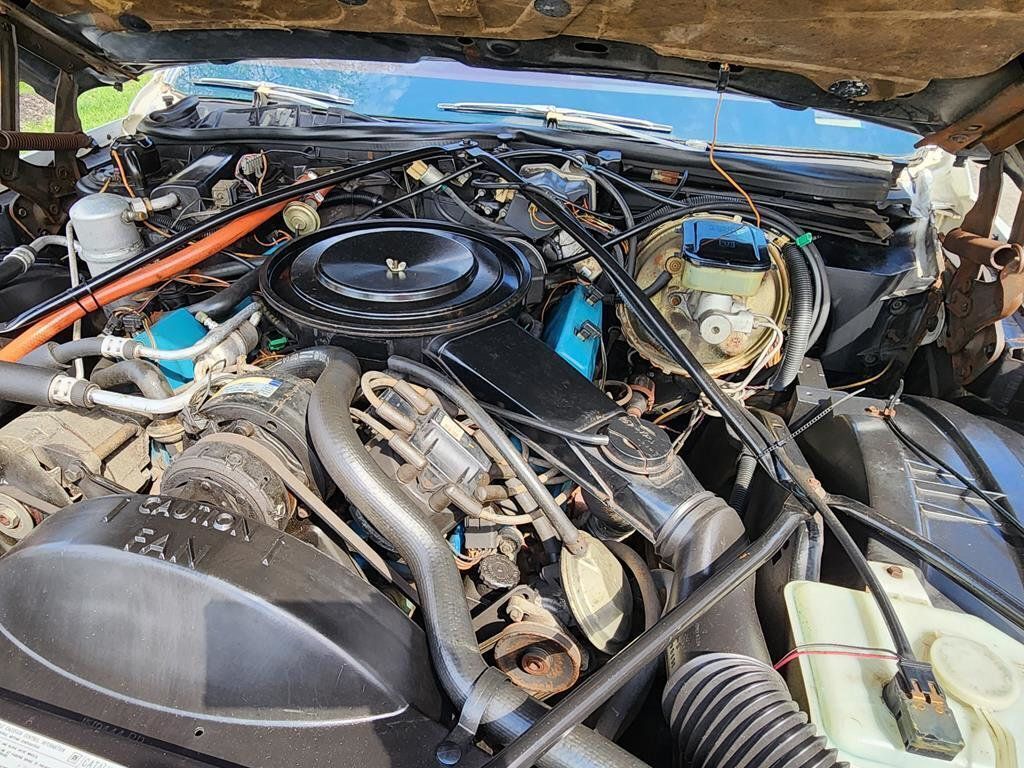 1981 Cadillac DeVille - photo 7