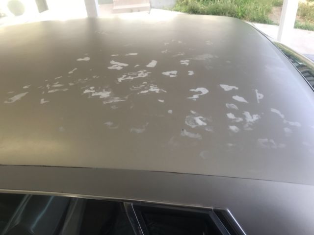 1981 Cadillac Seville Base - photo 11