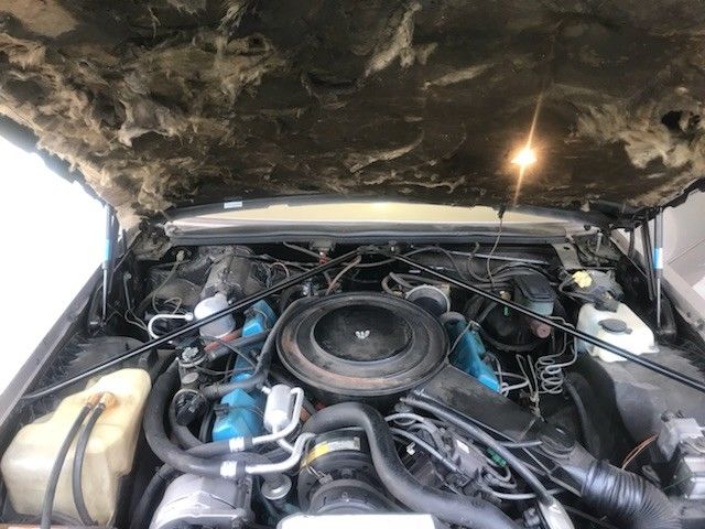 1981 Cadillac Seville Base - photo 13