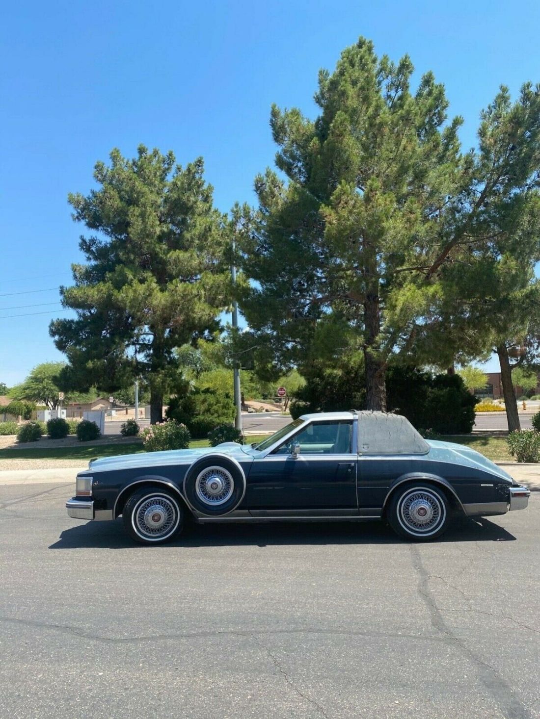 1981 Cadillac Seville - photo 6