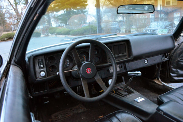 1981 Chevrolet Camaro Z28 - photo 10