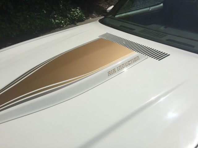 1981 Chevrolet Camaro Z28 - photo 6