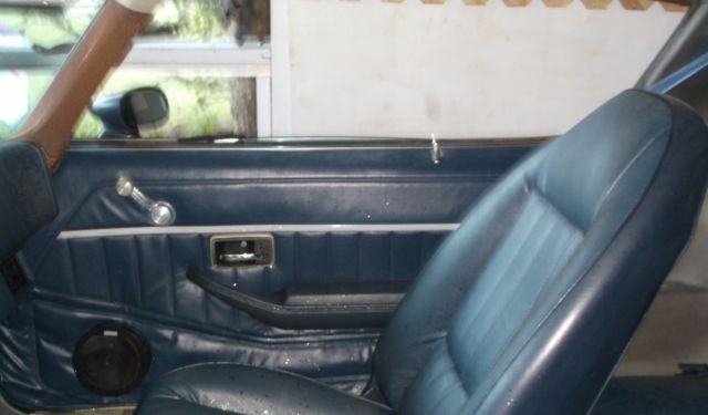 1981 Chevrolet Camaro Z28 - photo 11