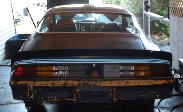 1981 Chevrolet Camaro Z28 - photo 13
