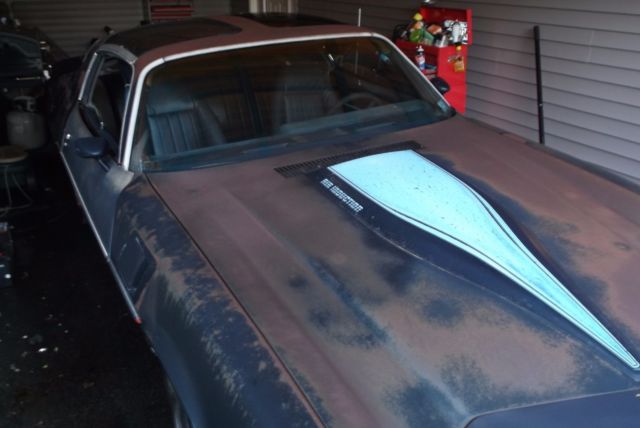1981 Chevrolet Camaro Z28 - photo 4