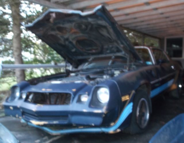 1981 Chevrolet Camaro Z28 - photo 5