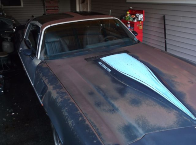 1981 Chevrolet Camaro Z28 - photo 6
