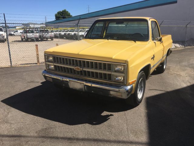 1981 Chevrolet C-10 Deluxe - photo 4