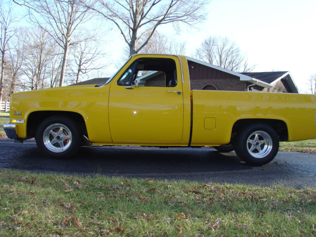 1981 Chevrolet C/K Pickup 1500 CUSTOMIZED - photo 2