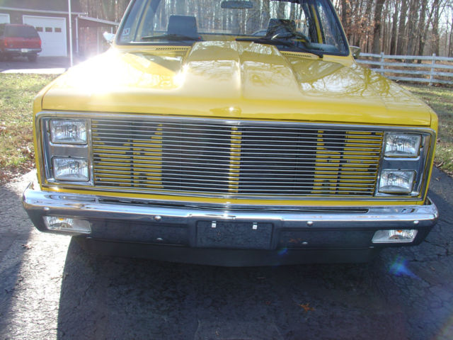 1981 Chevrolet C/K Pickup 1500 CUSTOMIZED - photo 4