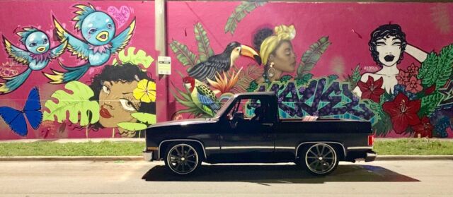 1981 Chevrolet Blazer - photo 11