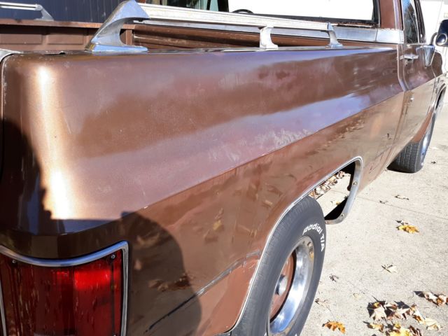 1981 Chevrolet C-10 SILVERADO SHORT BED - photo 10