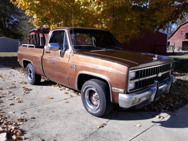 1981 Chevrolet C-10 SILVERADO SHORT BED - photo 2