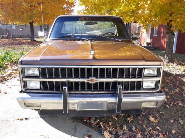 1981 Chevrolet C-10 SILVERADO SHORT BED - photo 3