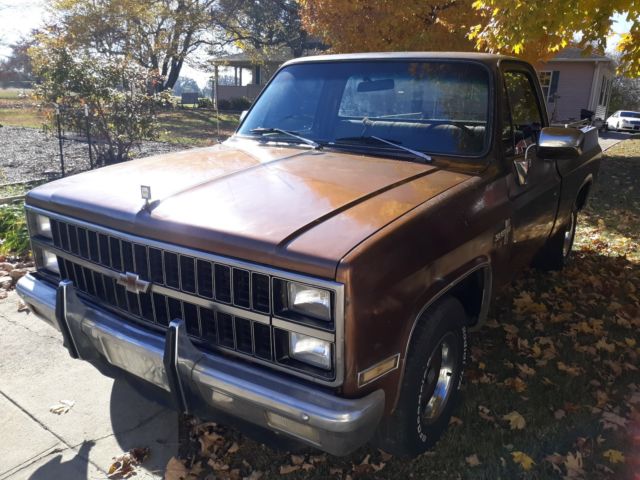 1981 Chevrolet C-10 SILVERADO SHORT BED - photo 4