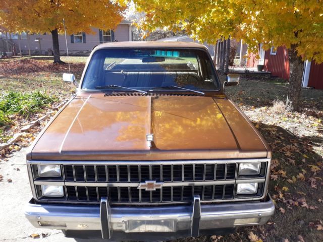 1981 Chevrolet C-10 SILVERADO SHORT BED - photo 5