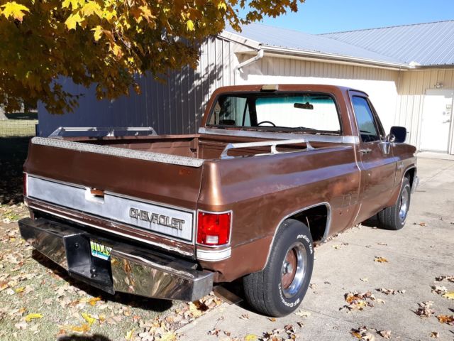 1981 Chevrolet C-10 SILVERADO SHORT BED - photo 6