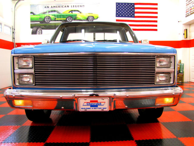 1981 Chevrolet C/K Pickup 1500 SHORT BED - photo 2