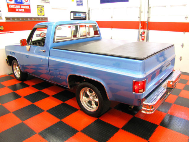 1981 Chevrolet C/K Pickup 1500 SHORT BED - photo 4